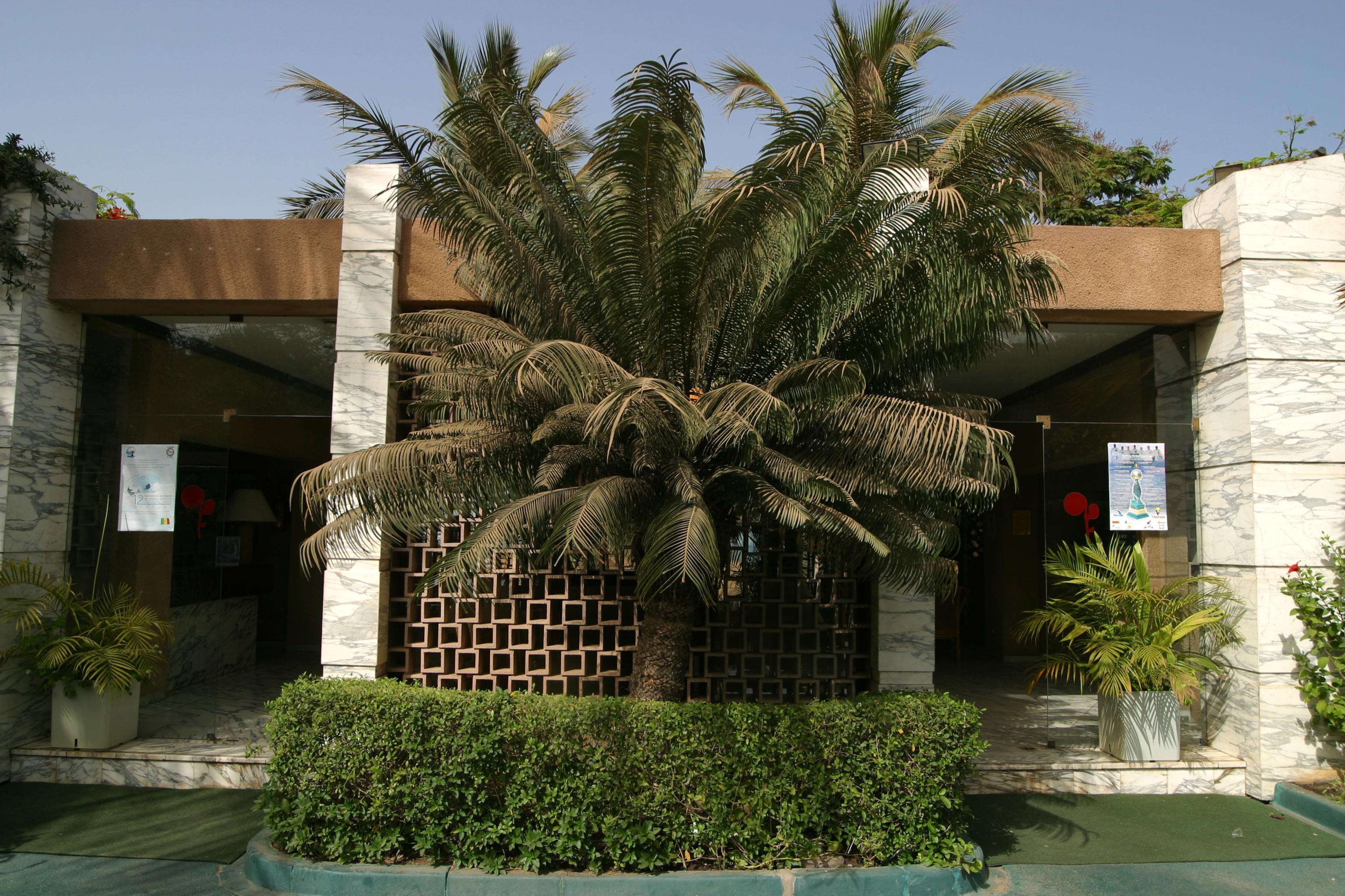 Hotel Jardin Savana Dakar Kültér fotó