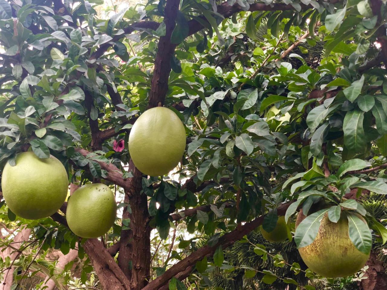 Hotel Jardin Savana Dakar Kültér fotó